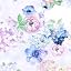 Hydrangea