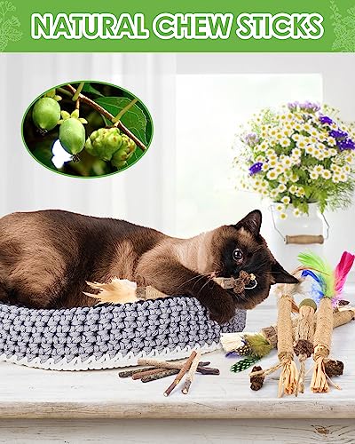 TINDTOP Silvervine Chew Sticks for Cats, 12 Pack Natural Catnip Chew Toys for Kittens Teeth Cleaning, Matatabi Dental Care, Increase Appetite, Calm Cat Anxiety and Stress, Cat Dental Toy