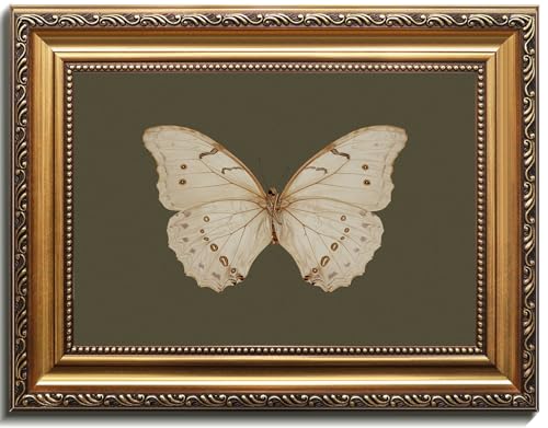 Uniro Vintage Gold Framed Wall Art, Classical Butterfly Oil Paintings, Dark Moody Insect Canvas Prints Artwork with Antique Frame, Sage Green Wall Decor Pictures for Bedroom, Kitchen, Shelf, Bathroom Wall Decor, Cottagecore Room Decor - 16x24Inch
