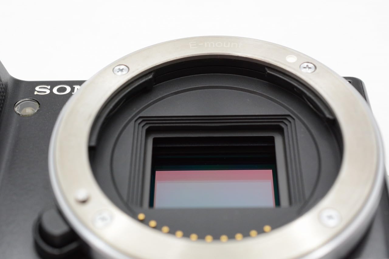 Amazon.com : Sony Alpha NEX NEX5 Digital Camera (Body Only) Black