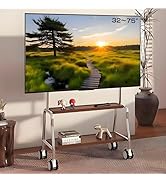 Amazon.co.jp: Asakusaen テレビスタンド ハイタイプ キャスター付き