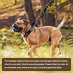 Hikiko Martingale Collar for Dogs Reflective Nylon Dog Collar with Quick Release Buckle Adjustable Training No Slip Dog Collars (Medium, Purple) - Image 5