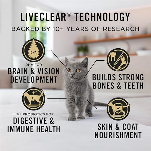 Image of Purina Pro Plan LiveClear Dry Kitten Food, Chicken & Rice, 3.2 lb Bag