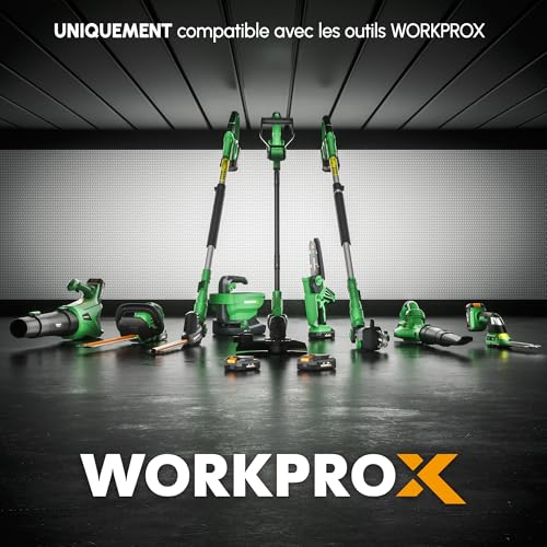 WORKPROX Batterie 20V Compacte Idéale pour les Petits Travaux de Maison