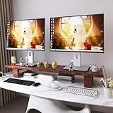 Buzleer Dual Monitor Stand...