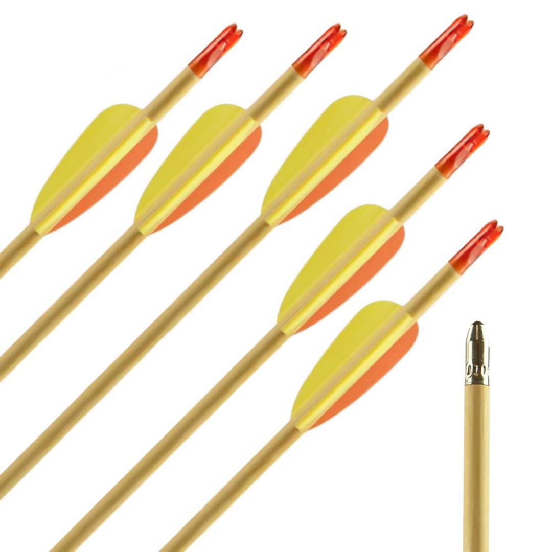 10x Old Wood Traditionelle Holzpfeile Set, 5/16 Zoll Schaft, 26 Zoll Längen, 2,6 Zoll Kunststoffbefiederung, Kunststoffnocken, abgerundete Blechspitzen, für Recurve und Compound bis 30 lbs