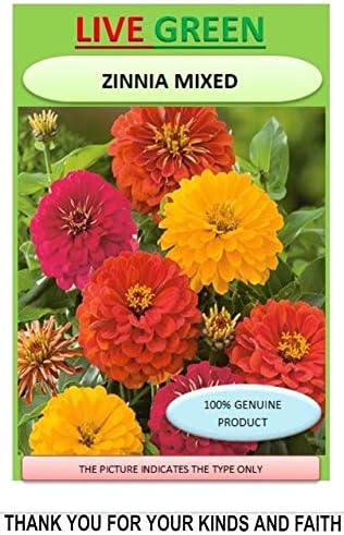 - LIVE GREEN Zinnia Double Mixed Flower F1 Hybrid Seeds (LG-SSED100)