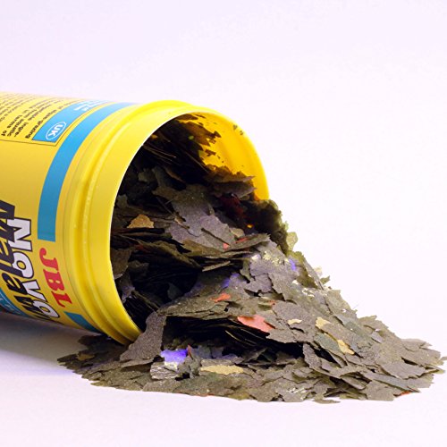 JBL NovoMalawi 3001200 Hoofdvoer voor algenetende cichliden, vlokken, 5,5 l - Afbeelding 3