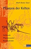  Pflanzen der Kelten: Heilkunde Pflanzenzauber Baumkalender