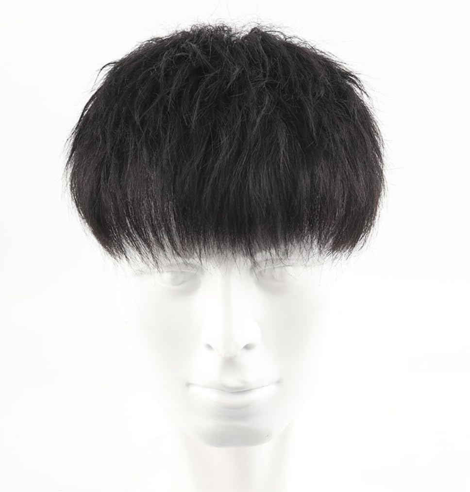 Men's Wig Short Curly Wig with Bangs Natural Toupee, Lace with PU Base, Clips and Double Side Tapes, Daily Party Costume Cosplay Wear,Black,16x18cm