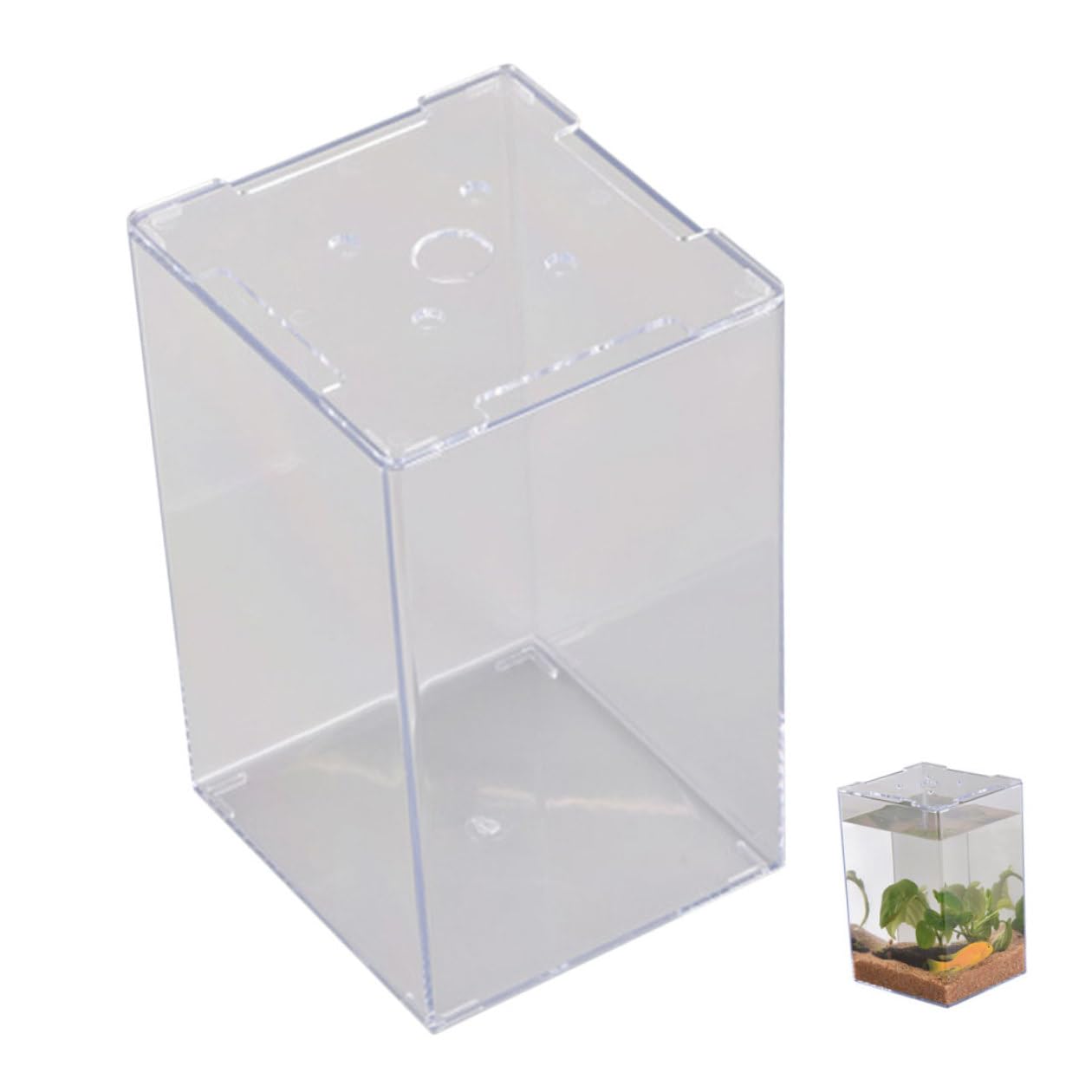 Miniature Acrylic Betta Fish Tank 13x12x19cm Small Fish Cylinder Desktop Aquarium for Home Aquatic Pets