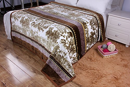Dada Bedding Flannel Faux Mink Fleece Throw Blanket - Victorian Vintage Twilight Old World - Silky Soft Warm Striped - Bright Multi Colorful Purple & Brown - 66" X 90" #TOP2