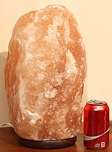 Indusclassic Giant Natural Himalayan Crystal Rock Salt Lamp 35~45 Lbs #TOP1