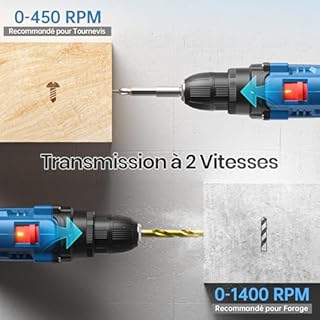 FAHEFANA Perceuse Visseuse Devisseuse Sans Fil 12V, avec Sac et 25 Accessoires, 2000mAh Batterie, 25Nm, 25+1 Réglages de Couple, 2 Vitesse, Lumières LED, Perceuse-Visseuse pour Bricolage à Domicile