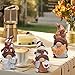 Hodao Set of 3 Coffee Gnomes Decorations Coffee Bar Decor Accessories Swedish Tomte Gnomes Figurines Tiered Tray Elf Decor Home Gifts for Mom, Grandma, Women