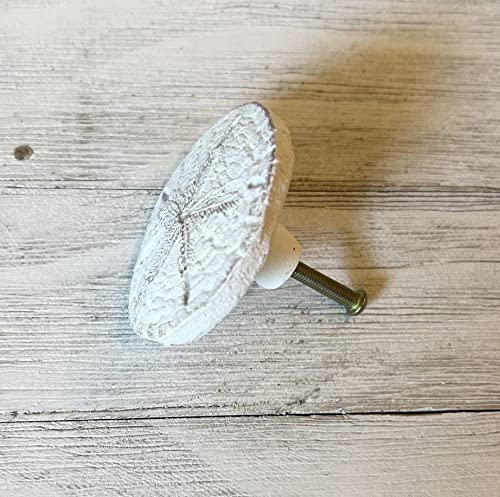 Top Brass Realistic Large Sand Dollar Drawer Pulls/Cabinet Knobs (4 Knob Set) - Screws Included - Beach Ocean Sea Shell Coastal Nautical Decor - Image 2