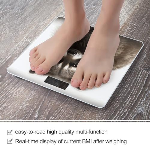 Báscula para baño con pantalla LCD y vidrio templado miniatura 5