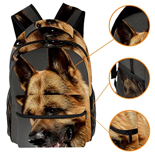 Mochilas ligeras de perro pastor para evitar sobrecarga en viajes 3