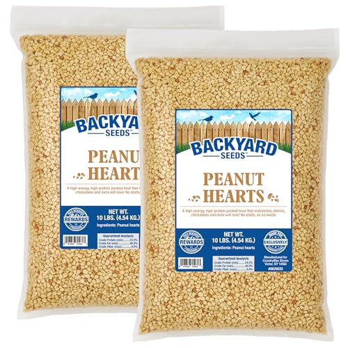 Backyard Seeds Peanut Hearts for Wild Birds – Premium Shelled Peanuts Bird Food – High-Energy Feed for Woodpeckers, Blue Jays, Nuthatches, Chickadees & More (20 Pounds)