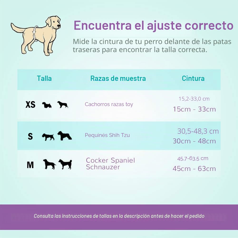 52 S Pañales Desechables para Perros Machos, pañales envolventes para Perros machos, se Adapta a Cintura de 30-48 cm, Talla S | Envolturas para perros machos con protección contra fugas y súper absorbentes, micción emocionante, incontinencia o marcado