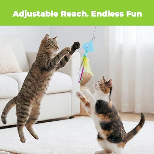 Image of Catify Meow Chase Playset, Retractable Cat Wand Toy with 6 Feather Teaser Cat Toys Attachment, Flexible Cat Teaser Wand for Indoor Cats and Kittens, Cat Fishing Pole Style Toy for Exercise and Bonding