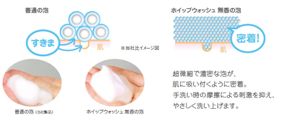 即購入様NG Amazon.co.jp: 【まとめ買い】ホイップウォッシュ・無香 23406(500ML