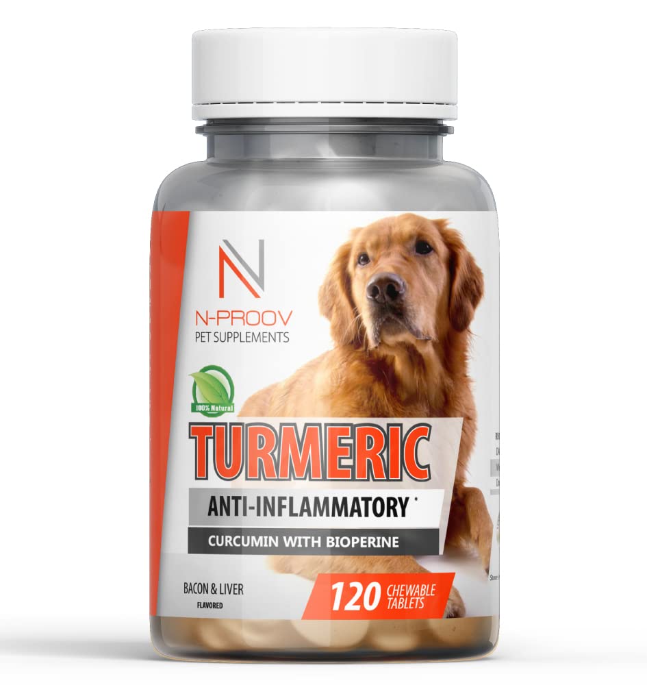What Is The Safest Anti Inflammatory For Dogs