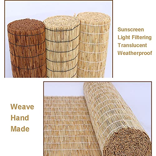 Bamboo Window Blinds Patio Woven Shades 18" 27" 32" 35" 38" 44" 60" 64" 72" 74" W Cordless Roll-Up Reed Shade With Lifter, Windproof Bamboo Shades Outdoor Porch Window Curtains (Color : Natural (Whit #TOP4