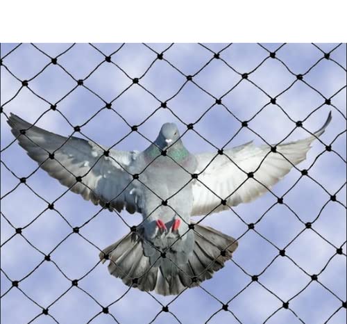 BirdFlee Pigeon Net Anti Bird Nylon Net (6 X 10 feet, White) Unique & Trending Extra-image-18
