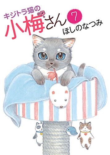 キジトラ猫の小梅さん ７ ねこぱんちコミックス ほしのなつみ マンガ Kindleストア Amazon