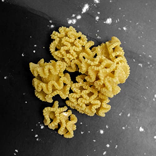 Pastadisc - Pasta Shape Discs Fit For Philips Automatic Pasta & Noodle Maker, Philips Pasta Maker Attachments, Kitchen Appliances, Accessory Kit (Radiator) #TOP2