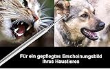 Hunde Zahnstein Zahnbelag Entferner Kratzer Reiniger Schaber Flügel 2-Seitig Zahnsteinentferner Zahnreiniger für Haustiere aus Edelstahl Zahnpflege Zahnsteinkratzer
