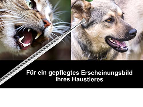Hunde Zahnstein Zahnbelag Entferner Kratzer Reiniger Schaber Flügel 2-Seitig Zahnsteinentferner Zahnreiniger für Haustiere aus Edelstahl Zahnpflege Zahnsteinkratzer