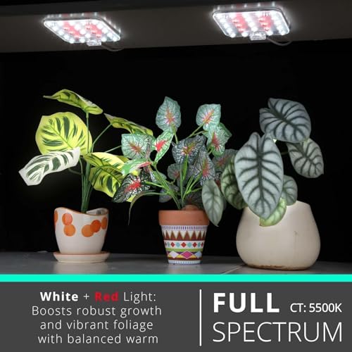 DOMMIA Full Spectrum LED Grow Light for Indoor Plants, 2 Panels 10W with 6/12/16h Timer Dimmable Plant Lights for Flower - Additional View