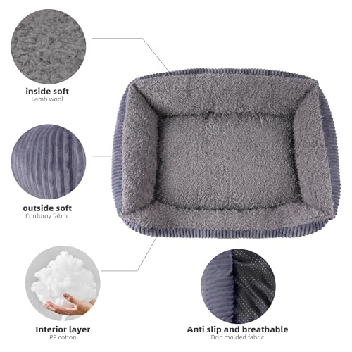 TWDEPART Orthopädisches Hundebett für mittelgroße Hunde, waschbares Plüsch-Hundesofa mit Cordbezug, rutschfest, Grau, 89 x 63 cm