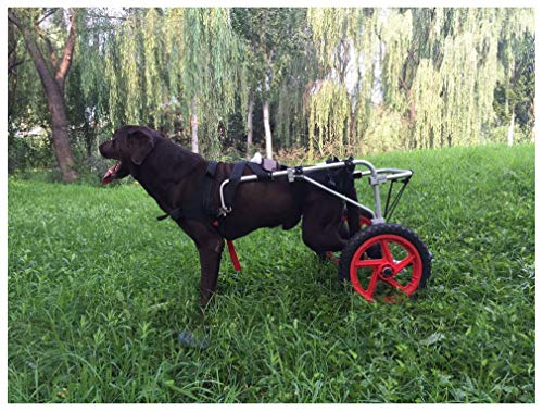 Hwt Sedia a Rotelle per Cane,Carrellino Scooter