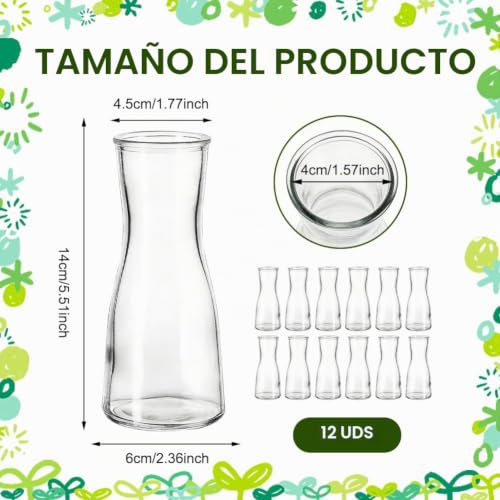 Jarrones de cristal pequeños en pack de 12 para decoración 4