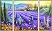 NORRIS Paint by#S: Lavender Fields (Tryptych) Paint by#