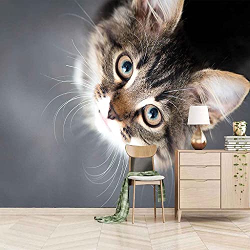 Papier peint 3D chat autocollant pour masquer les défauts d'un mur - 2