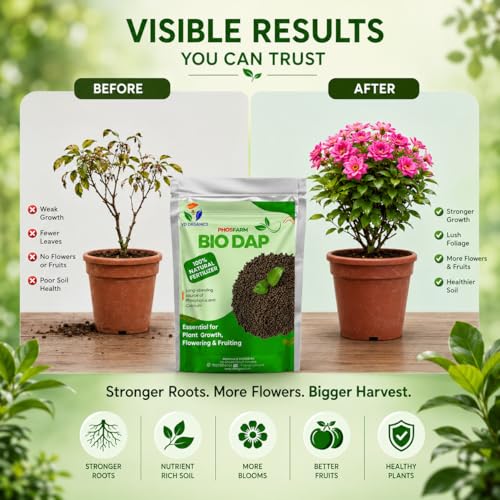Image of Bio Dap Organic Fertilizer for Plants 2kg, Granules | Organic Plant Food for Faster Root Growth, Healthy Flowering & Fruiting | Indoor & Outdoor Plants, Home Garden & Vegetable Plants