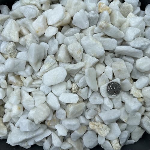 20 lbs Dolomite Rocks 0.5