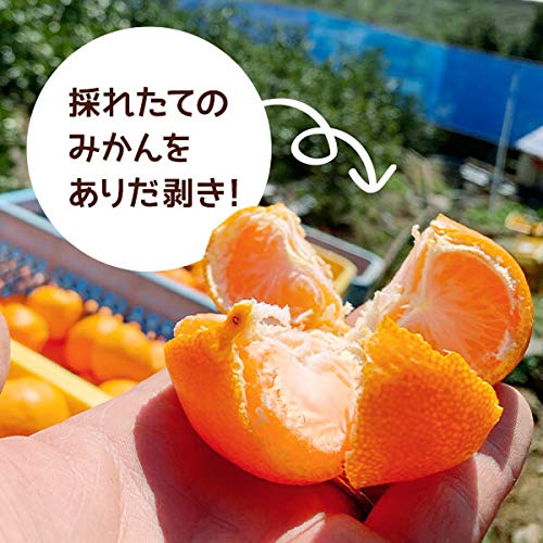 Amazon.co.jp: みかん Lサイズ 秀品 箱込 10kg (内容量約 9.2kg)［先行