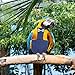 POPETPOP 2pcs Parakeet Clothing Breathable Bird Diaper and Flight Suit for Pigeons and Cockatiels Leaks Lightweight and Skin-Friendly for Outdoor Use