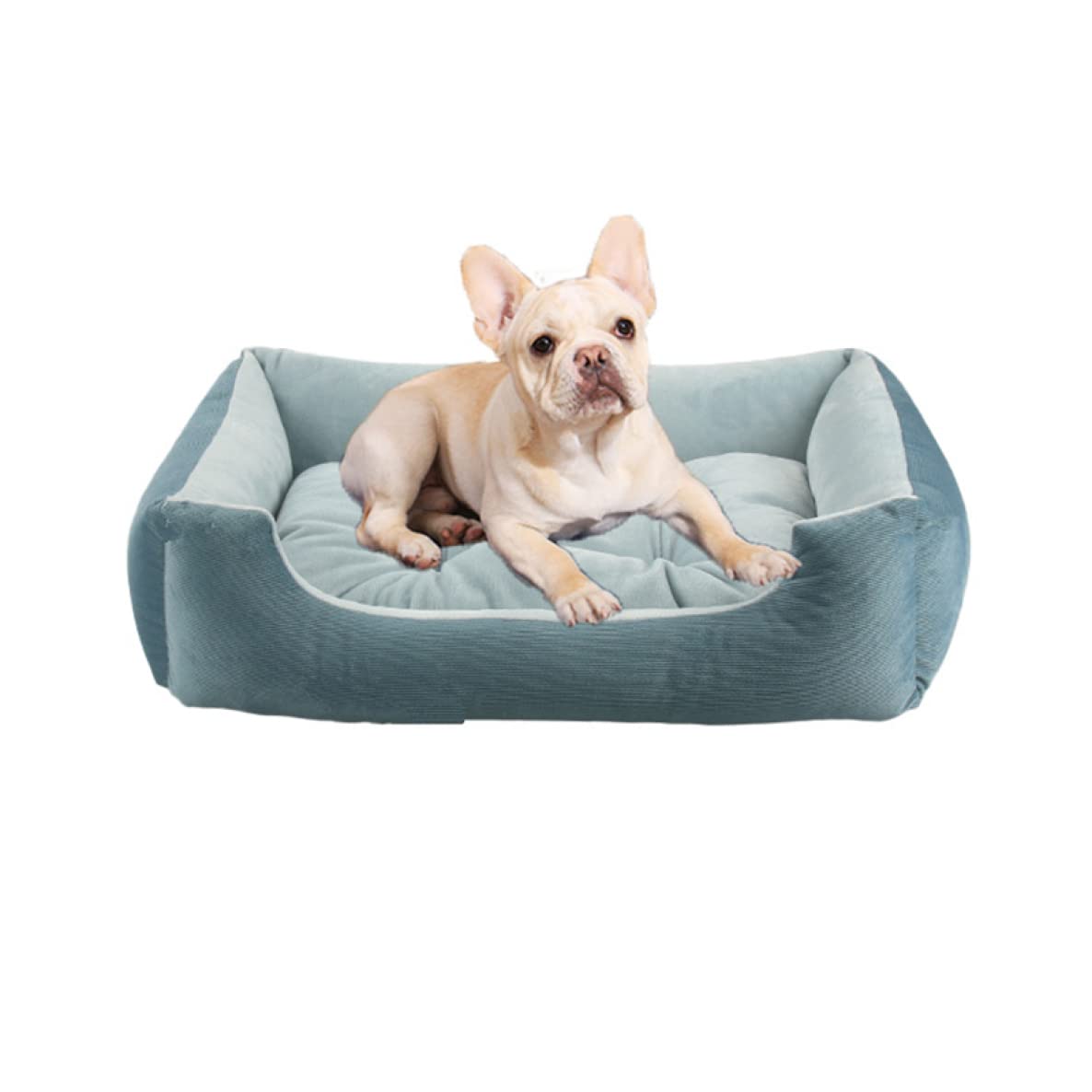 Amazon | [JUI3N] 犬 ベッド 洗える ブルー 小型犬 中型犬用ベッド 冬