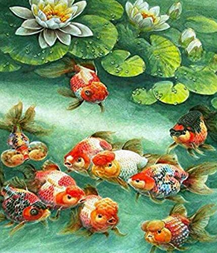 Peinture au diamant 5D contre le stress kit complet carpe et lotus pour adulte 30x40