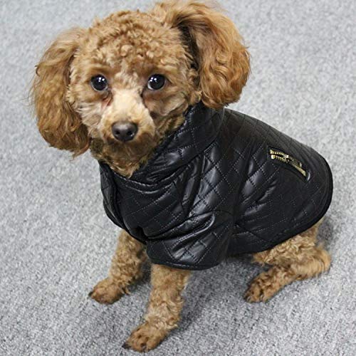 BAYUE Mascotas Ropa for Perros pequeños de Cuero del Invierno Escudo Chihuahua...