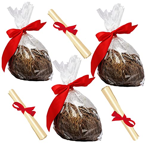 3 unverpackte lose Jericho-Rosen, ausgewählt und gereinigt Promo auf Menge