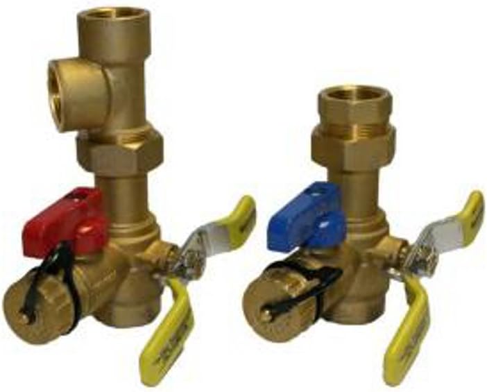 Rheem RTG20220AB Webstone Tankless Water Heater Service Valve Kit, Clean Brass - Pipe Fittings - 