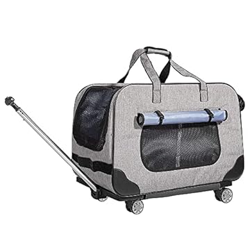 PETEMOO Trasportino per Animali Domestici, Carrello Confortevole per Cani e Gatti, Trolley Zaino Pieghevole per Viaggio
