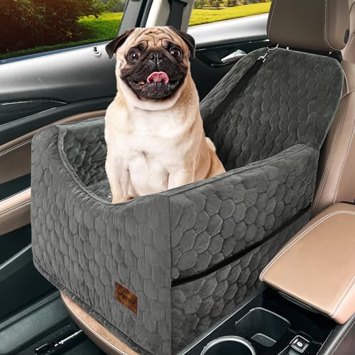 18 Most Essential Dog Car Travel Accessories You Must Have
